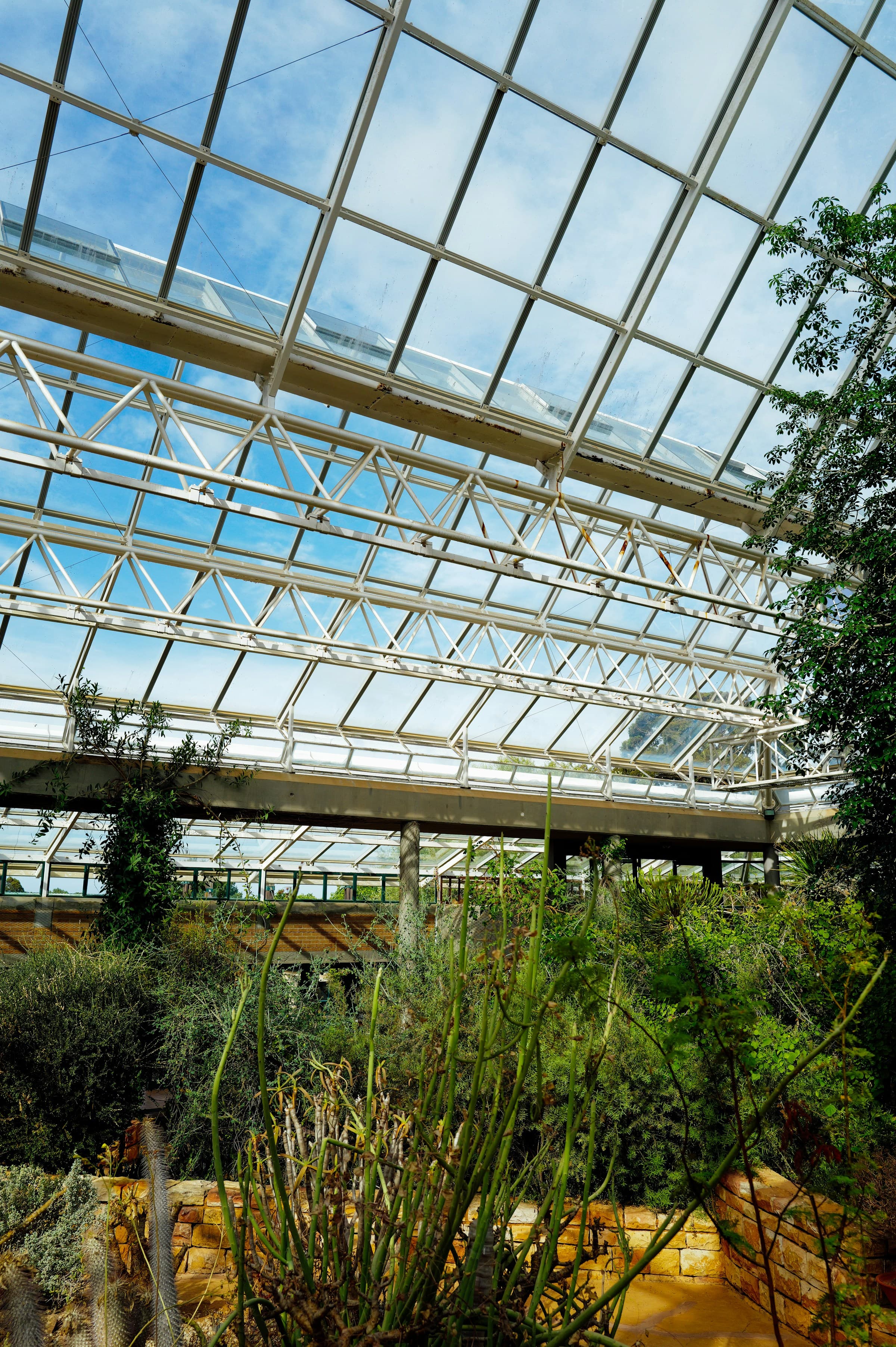 Glass-roof botanical conservatory filled with tropical plants.
