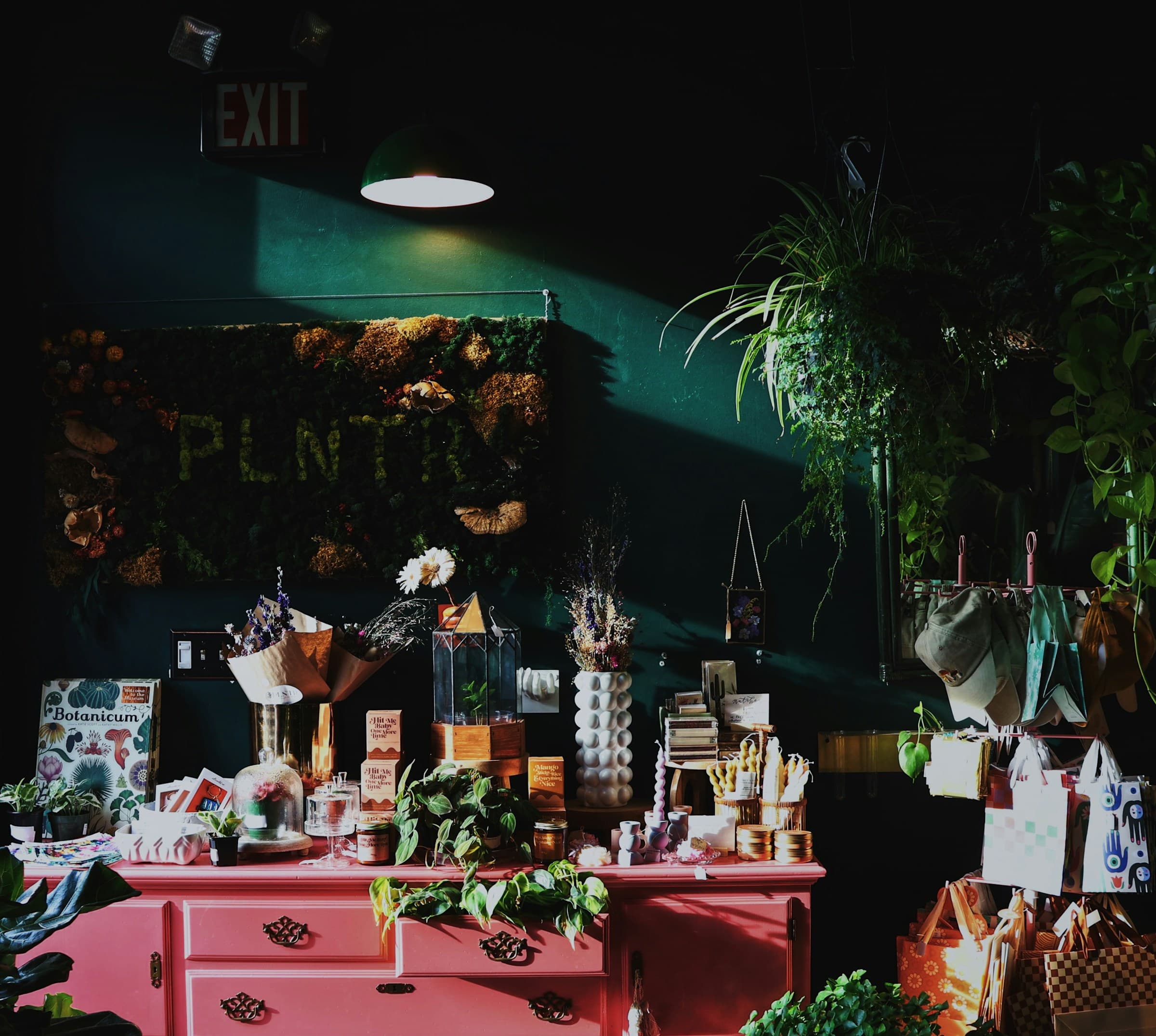 Curated plant retail display with objects, flowers, and greenery.